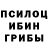 Псилоцибиновые грибы Cubensis Ukrainian authorities:
